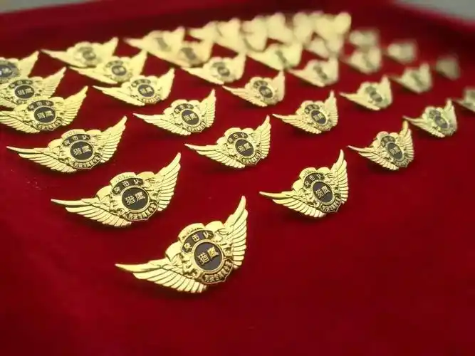 猎鹰突击队授勋仪式完美落幕