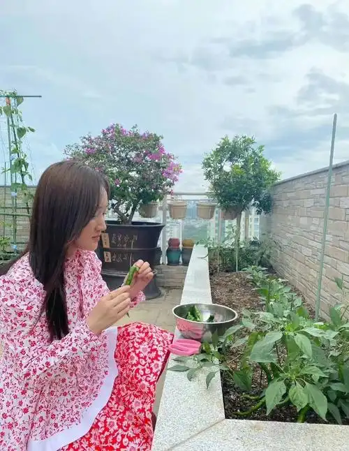 杨钰莹52岁独居豪宅养花种菜与犬相伴温馨生活治愈人心