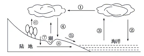 下图为三江平原水循环简图.读图完成下面小题.