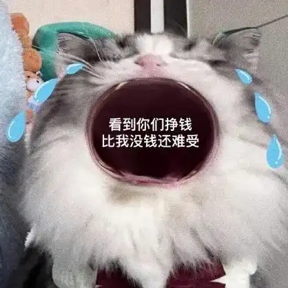 看到你们挣钱比我没钱还难受