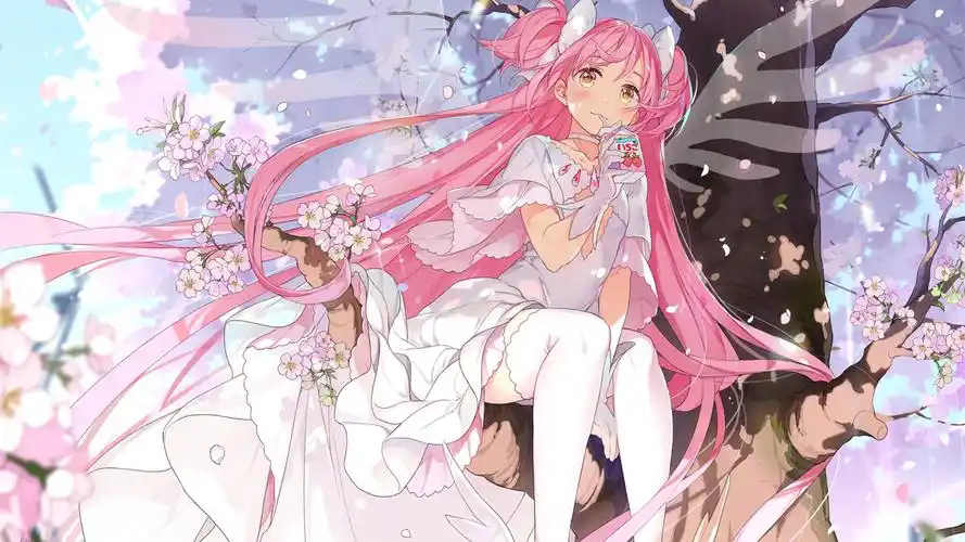 安装元气桌面,海量壁纸一键设置尺寸:1920x1080体积:1.