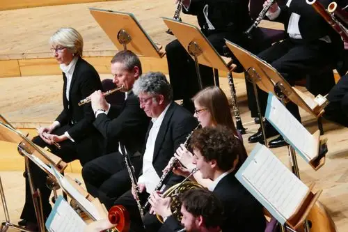 漂亮的黑管演奏家.