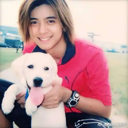 罗志祥他出道都是以小郭富城的头衔出的