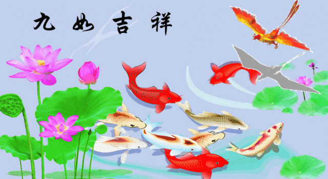 640_349gif 动态图 动图