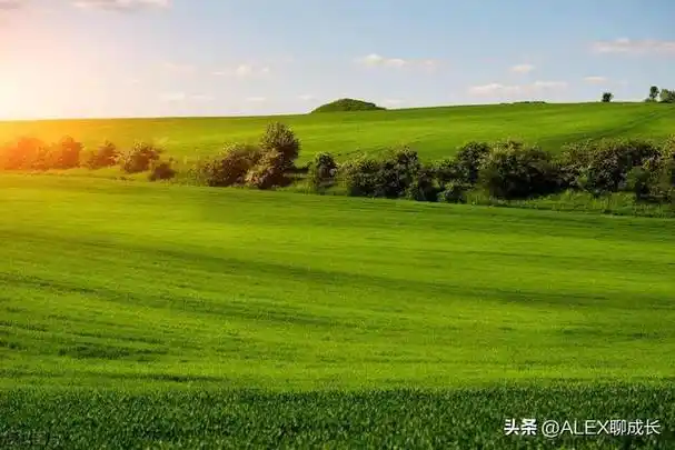 一个人有没有富贵命,到五十岁才能看出来|婚姻|人生|自制力_网易订阅