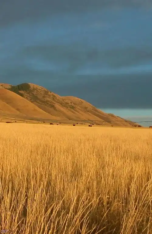 好看的风景图片好看的高清图片