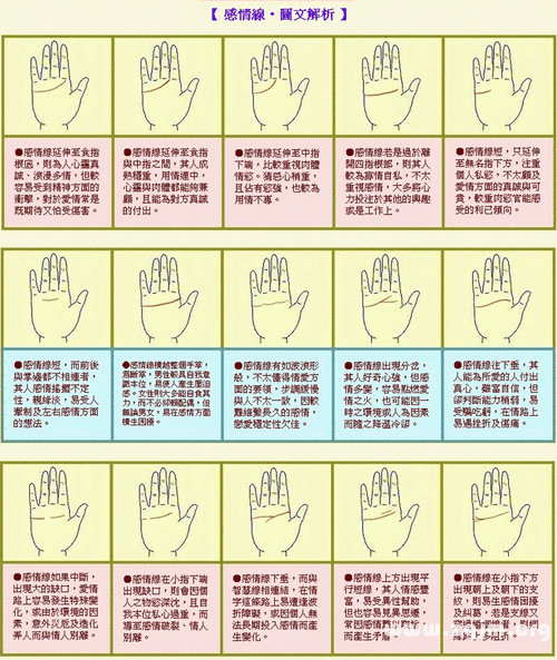 成涛掌相感情线图解,看相大全 - 周公解梦