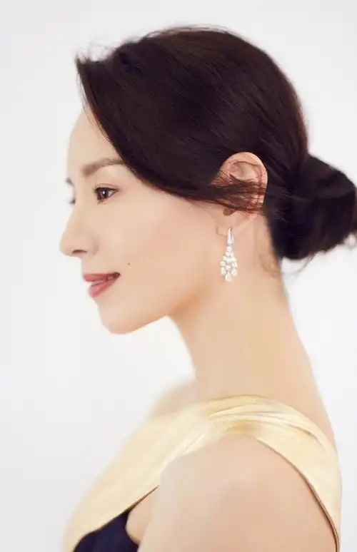 董洁华表奖端庄优雅写真图片