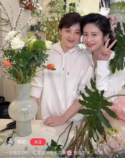 48岁梅婷剪短发撞脸毛阿敏和小13岁颖儿同框却被调侃像同龄人