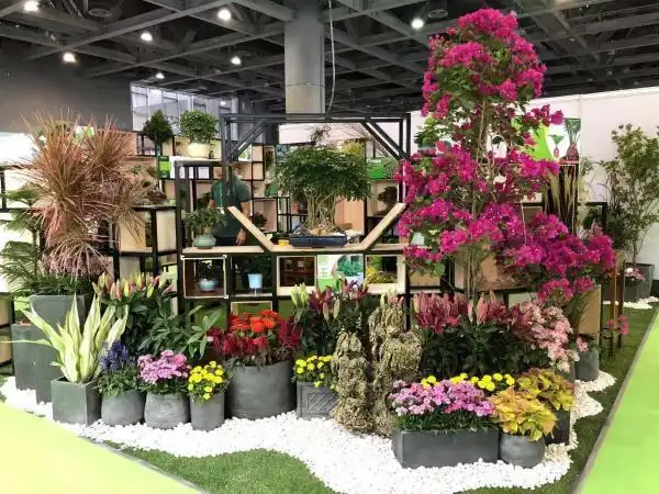 新品加持,展品纷呈,2018广州花展今日开展