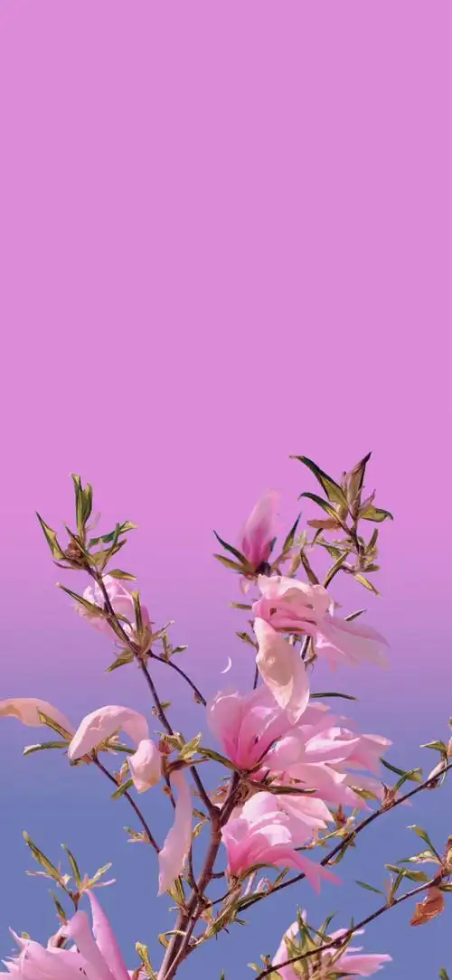 有氧周末, 4k壁纸原片:写给对象的小黄文