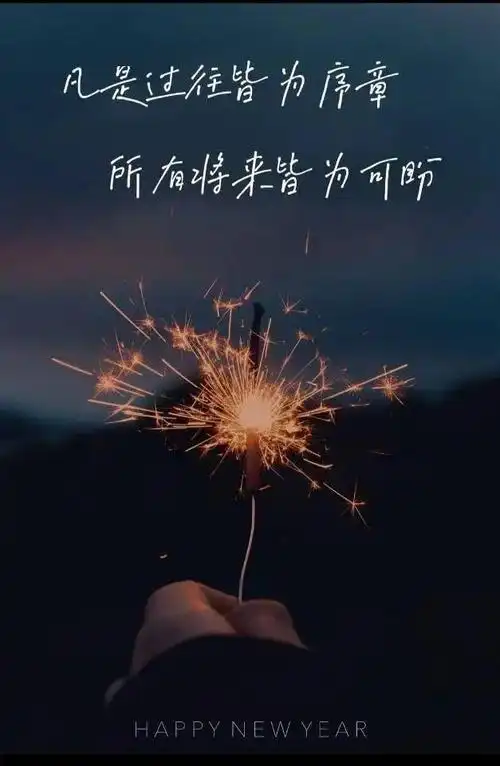 欢度新年凡是过往皆为序章