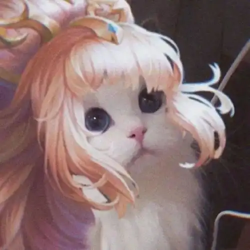 《王者荣耀猫头》第4期:女神团喵咪接头头像,这么可爱的猫从哪里来的