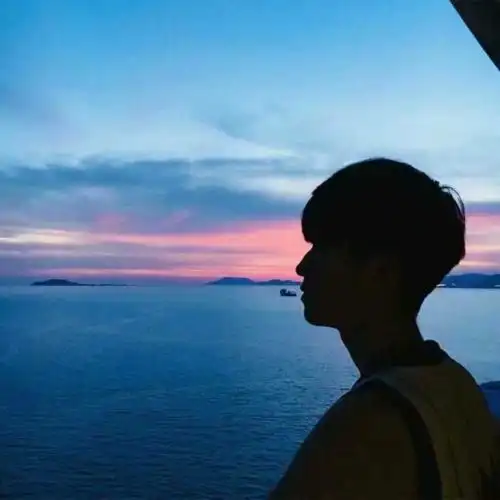 大哥们,求你们这几张图的另一半发给我,追了三年了