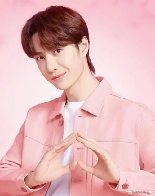 #王一博和粉色的适配度#