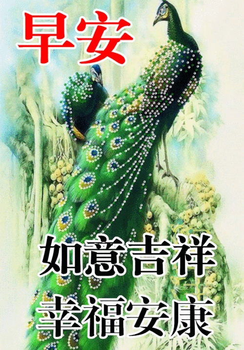 640_916竖版 竖屏gif 动态图 动图