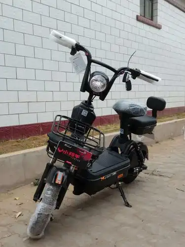 小羚羊电动车——小骑士