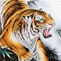 霸气老虎头像图片大全好看的老虎霸气图片头像