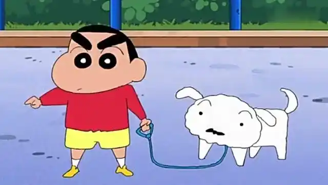 蜡笔小新:什么事情,让小新和小白如此恐惧?