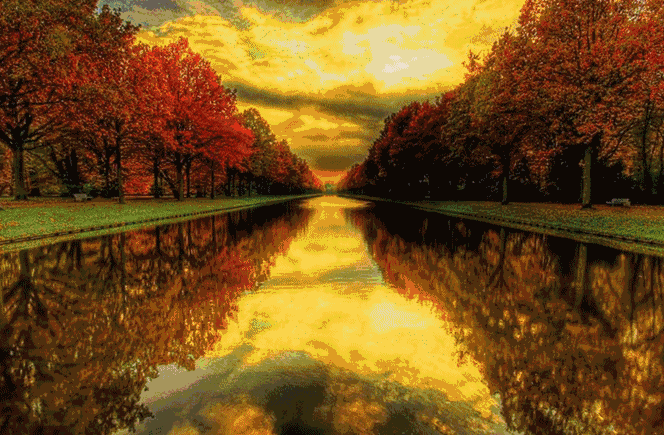 说再见不应该在秋天