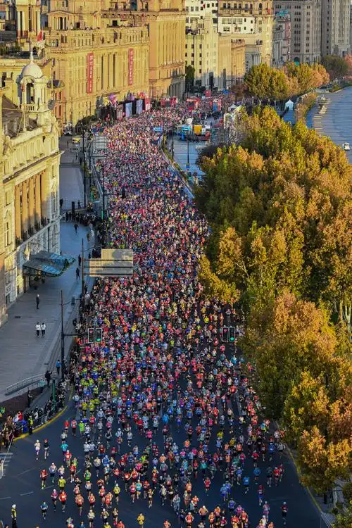 上海马拉松##2023上海马拉松