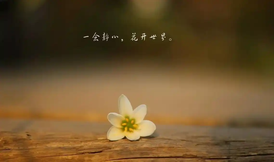 最好的心境,是静心和沉稳!