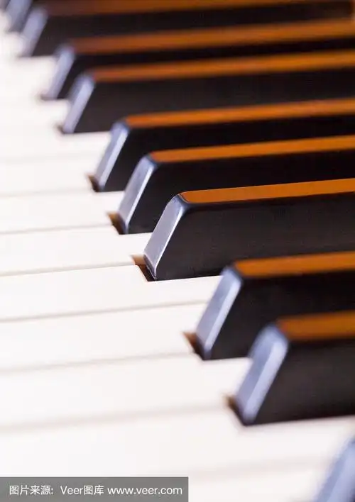 钢琴琴键特写