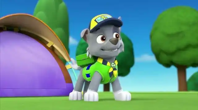 汪汪队立大功:莱德和狗狗们的故事,告诉了我们什么?