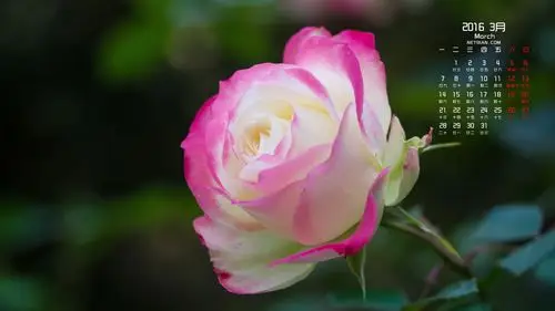 风景- 堆糖,美图壁纸兴趣社区