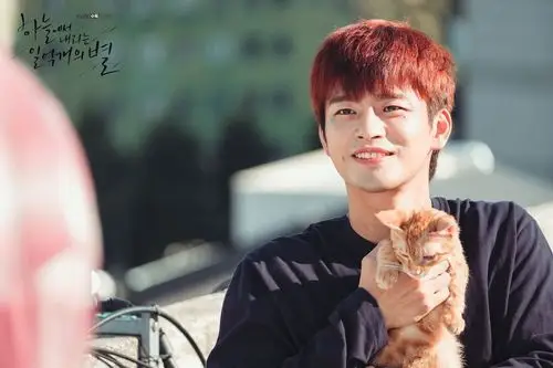 从天而降的一亿颗星星#徐仁国 - 堆糖,美图壁纸兴趣社区