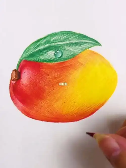 今天来教你画个彩铅芒果吧