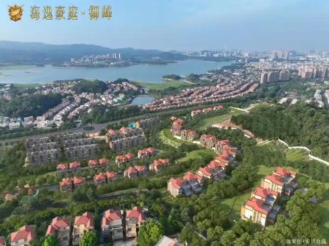 东莞海逸豪庭(海逸豪庭)别墅首页网站丨东莞海逸豪庭房价_户型_楼盘