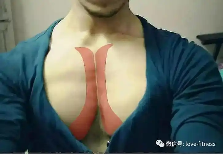 胸肌全面训练图解胸沟上胸中胸下胸全部到位男女通用