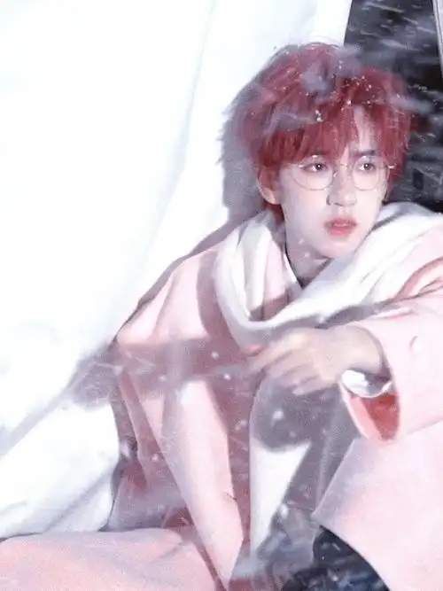 贺峻霖 梦蝶破笼