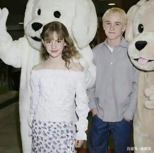 用13个字拒绝哈里的王子可不容易