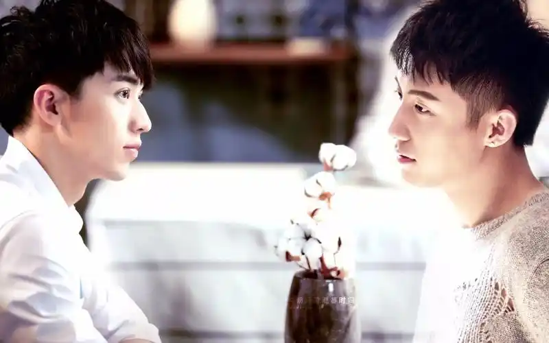 黄景瑜许魏洲瑜洲cp向原本情深义重的两个大男孩却被有些人说的无情无