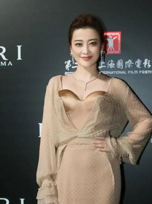 46岁的梅婷身材和气质超赞穿薄纱外套搭配包臀半身裙高贵典雅