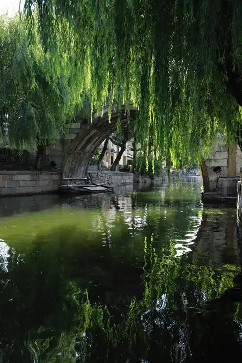 小桥流水,柳树波影