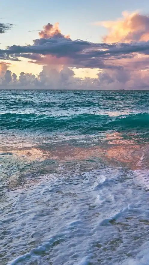 超高清壁纸: 背景动态主题锁 和百万清图片每天更新