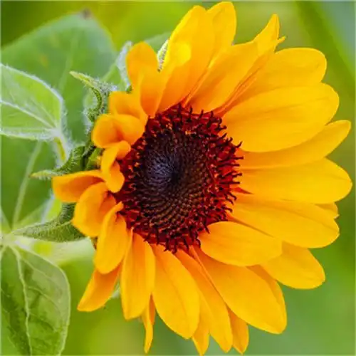 超好看头像简单独特 高清耐看独特好看的头像图片高清_微信头像_头像