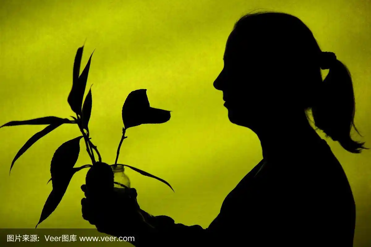 女性侧视图剪影