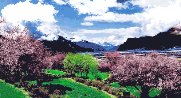 589_320gif 动态图 动图