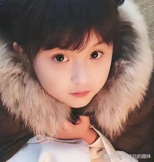 刘楚恬:童星到学霸的转变,商业价值与个人选择的博弈 刘楚恬,一位曾经