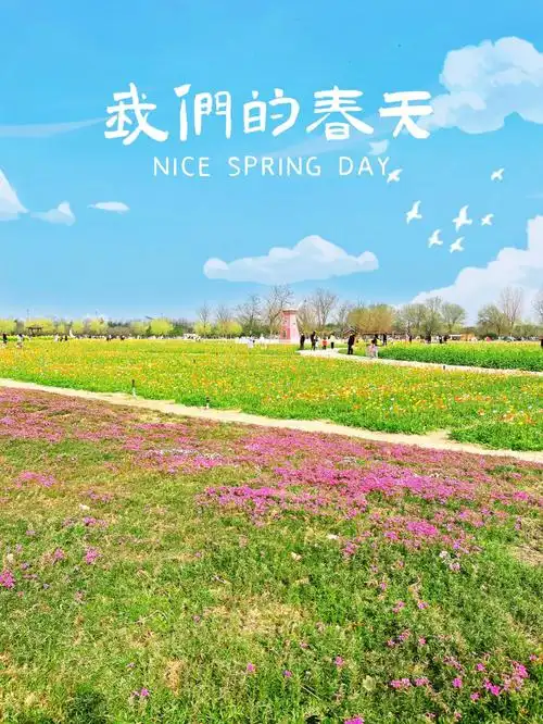 寻找春天的足迹78