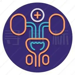 泌尿外科图标