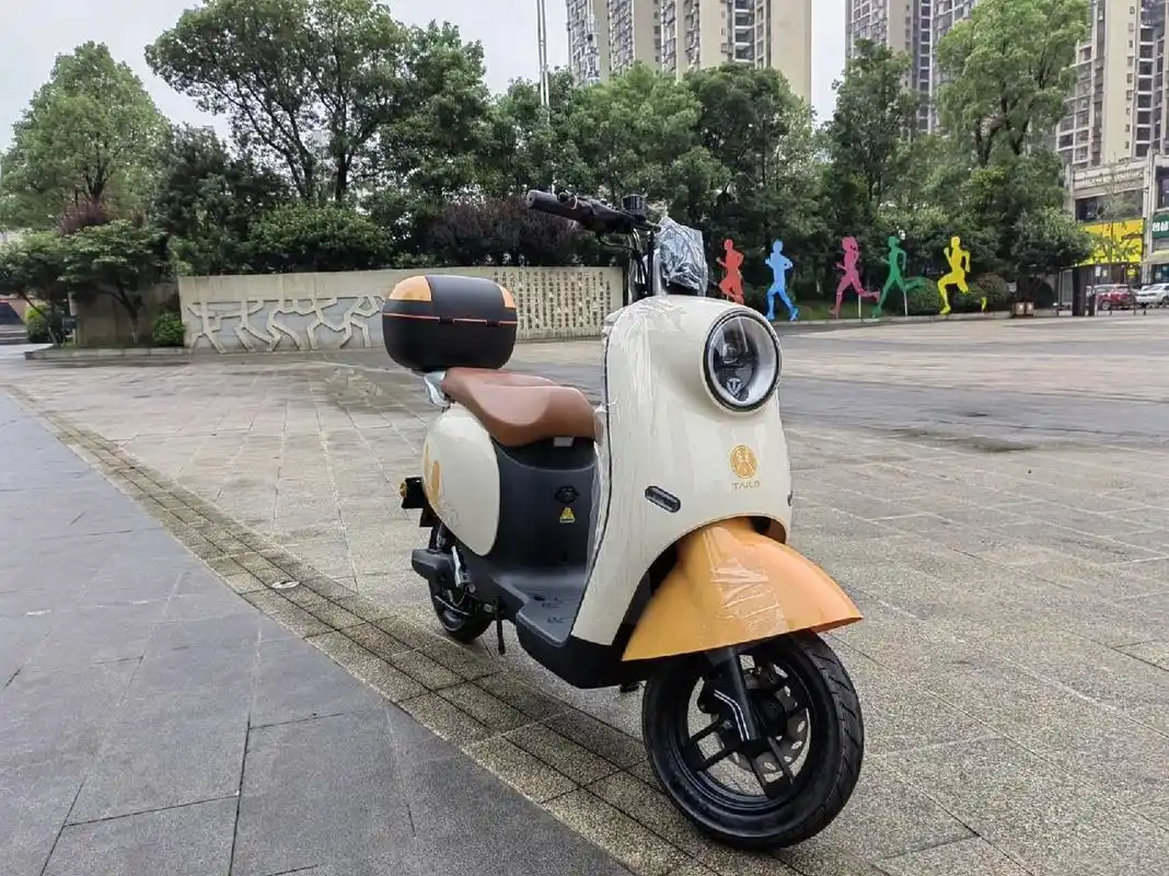 欢迎试驾谷山体育公园 台铃电动车 澳海 龙湖