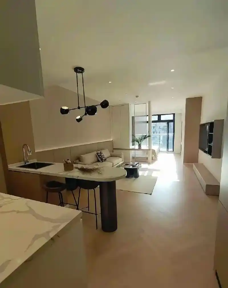 世纪城大开间简约轻奢一居室采光敞亮通透