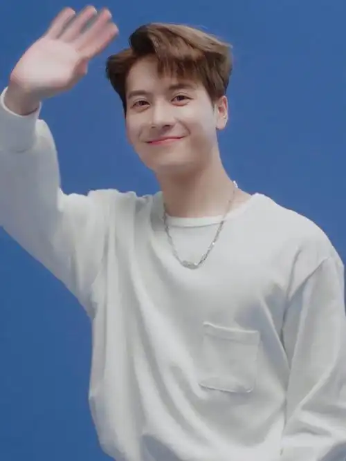 王嘉尔的粉丝叫jacky只喜欢王嘉尔