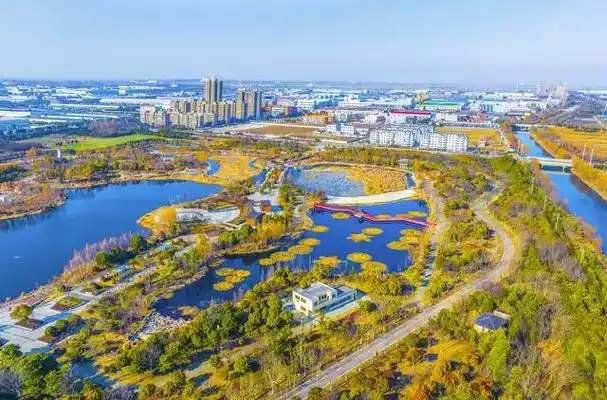 江苏泗洪升级改造生态公园扩大城市绿化面积