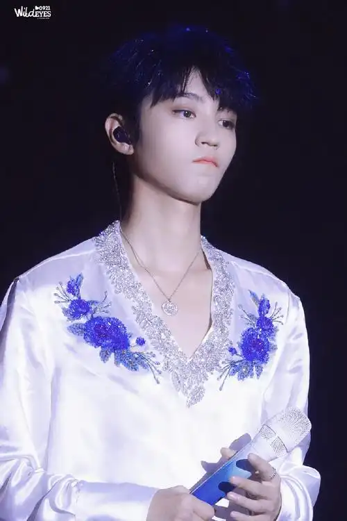 王俊凯奔赴每一个十年#十周年演唱会世界安静 听你唱歌@tfboys-王俊凯